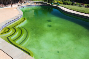 What Happens to Your Pool Without Pool Chemicals?